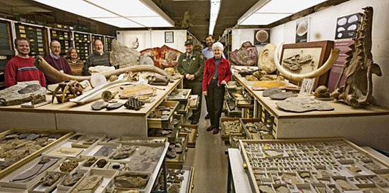 Paleontology Collection and Staff